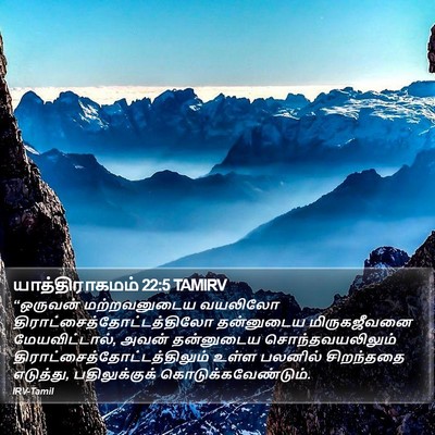 யாத்திராகமம் 22:5 TAMIRV Bible Verse Image