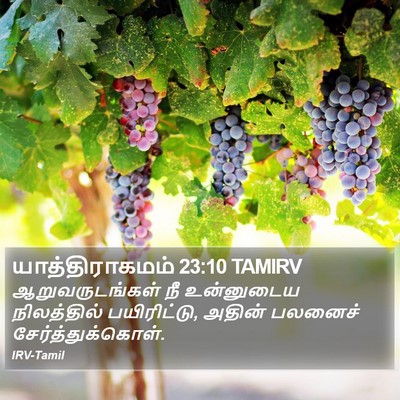 யாத்திராகமம் 23:10 TAMIRV Bible Verse Image