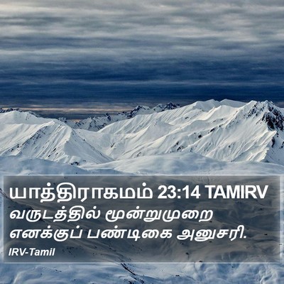 யாத்திராகமம் 23:14 TAMIRV Bible Verse Image