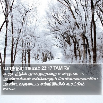 யாத்திராகமம் 23:17 TAMIRV Bible Verse Image