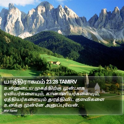 யாத்திராகமம் 23:28 TAMIRV Bible Verse Image