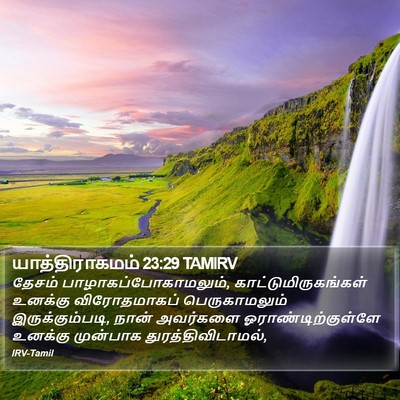 யாத்திராகமம் 23:29 TAMIRV Bible Verse Image