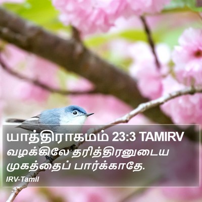 யாத்திராகமம் 23:3 TAMIRV Bible Verse Image