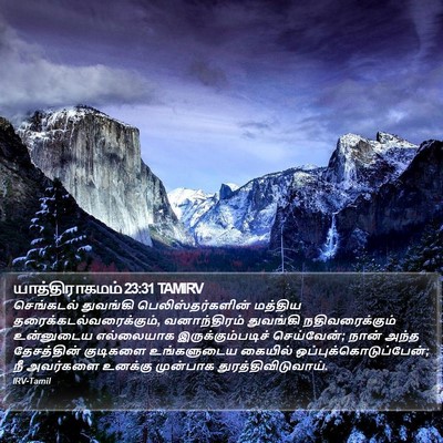 யாத்திராகமம் 23:31 TAMIRV Bible Verse Image