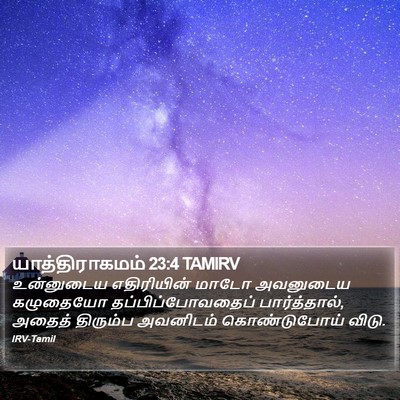 யாத்திராகமம் 23:4 TAMIRV Bible Verse Image