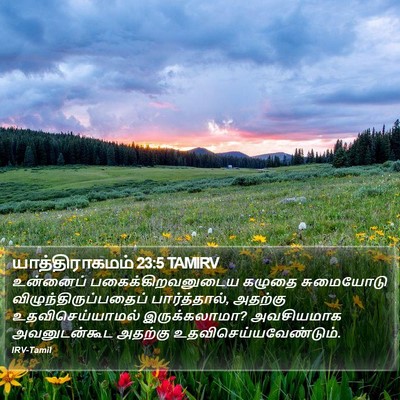யாத்திராகமம் 23:5 TAMIRV Bible Verse Image