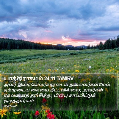 யாத்திராகமம் 24:11 TAMIRV Bible Verse Image