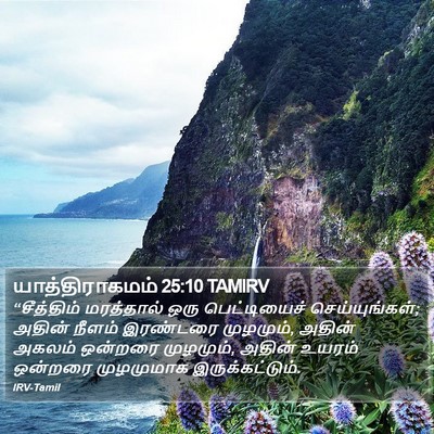யாத்திராகமம் 25:10 TAMIRV Bible Verse Image
