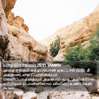 யாத்திராகமம் 25:11 TAMIRV Bible Verse Image