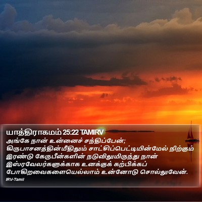 யாத்திராகமம் 25:22 TAMIRV Bible Verse Image
