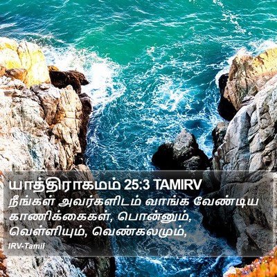யாத்திராகமம் 25:3 TAMIRV Bible Verse Image
