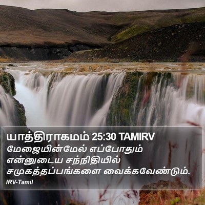 யாத்திராகமம் 25:30 TAMIRV Bible Verse Image
