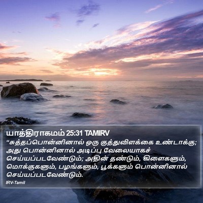 யாத்திராகமம் 25:31 TAMIRV Bible Verse Image