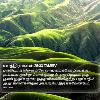 யாத்திராகமம் 25:33 TAMIRV Bible Verse Image