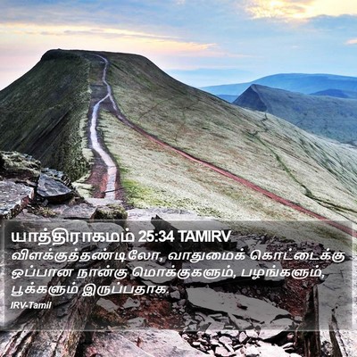 யாத்திராகமம் 25:34 TAMIRV Bible Verse Image