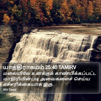 யாத்திராகமம் 25:40 TAMIRV Bible Verse Image