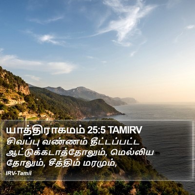 யாத்திராகமம் 25:5 TAMIRV Bible Verse Image