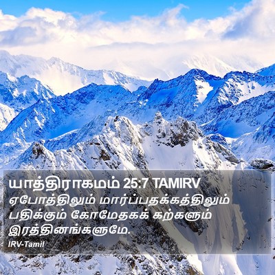 யாத்திராகமம் 25:7 TAMIRV Bible Verse Image