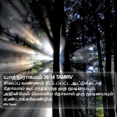 யாத்திராகமம் 26:14 TAMIRV Bible Verse Image