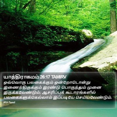 யாத்திராகமம் 26:17 TAMIRV Bible Verse Image