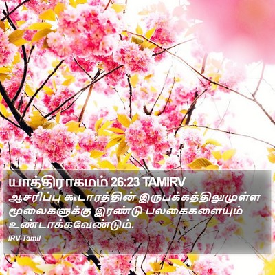 யாத்திராகமம் 26:23 TAMIRV Bible Verse Image