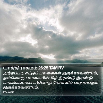 யாத்திராகமம் 26:25 TAMIRV Bible Verse Image
