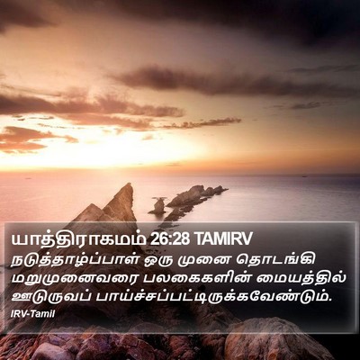 யாத்திராகமம் 26:28 TAMIRV Bible Verse Image