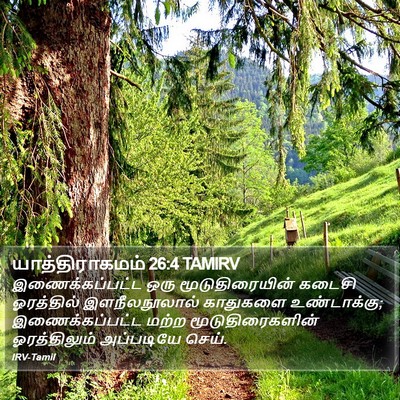 யாத்திராகமம் 26:4 TAMIRV Bible Verse Image