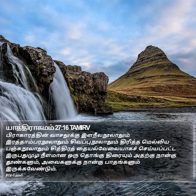 யாத்திராகமம் 27:16 TAMIRV Bible Verse Image