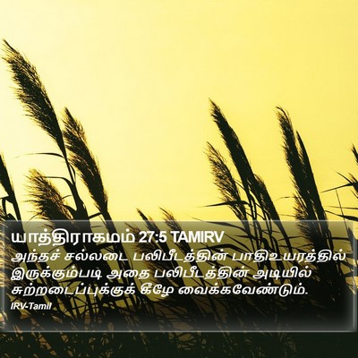 யாத்திராகமம் 27:5 TAMIRV Bible Verse Image