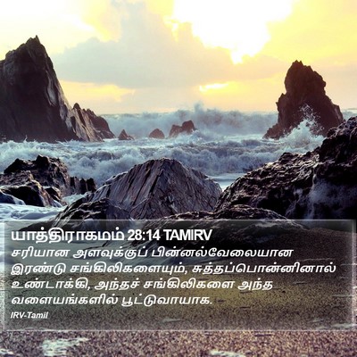 யாத்திராகமம் 28:14 TAMIRV Bible Verse Image