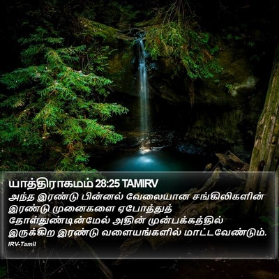 யாத்திராகமம் 28:25 TAMIRV Bible Verse Image