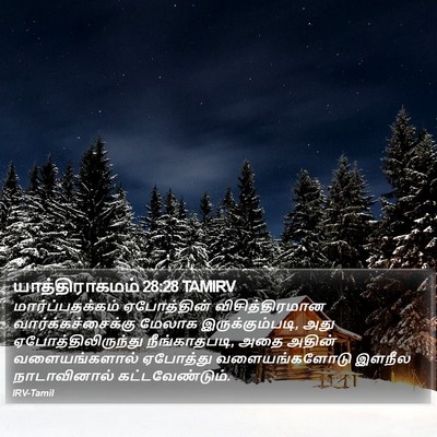 யாத்திராகமம் 28:28 TAMIRV Bible Verse Image