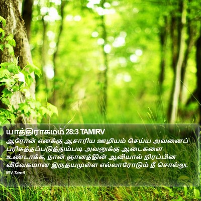 யாத்திராகமம் 28:3 TAMIRV Bible Verse Image