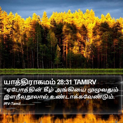 யாத்திராகமம் 28:31 TAMIRV Bible Verse Image