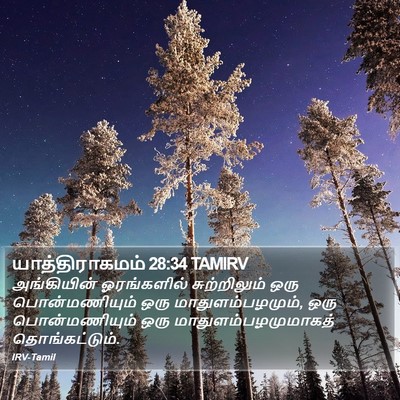 யாத்திராகமம் 28:34 TAMIRV Bible Verse Image