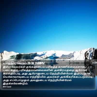 யாத்திராகமம் 28:38 TAMIRV Bible Verse Image