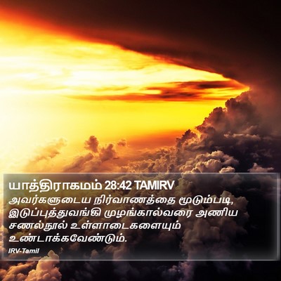 யாத்திராகமம் 28:42 TAMIRV Bible Verse Image