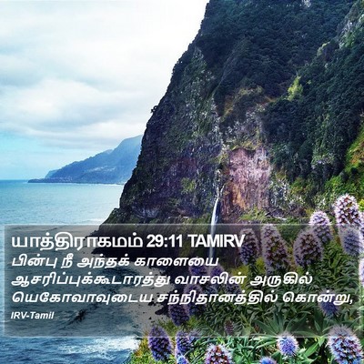 யாத்திராகமம் 29:11 TAMIRV Bible Verse Image