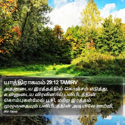 யாத்திராகமம் 29:12 TAMIRV Bible Verse Image