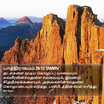 யாத்திராகமம் 29:13 TAMIRV Bible Verse Image