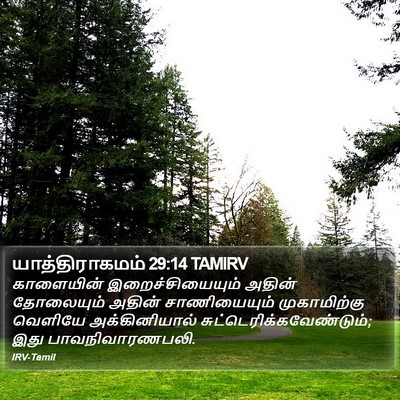 யாத்திராகமம் 29:14 TAMIRV Bible Verse Image