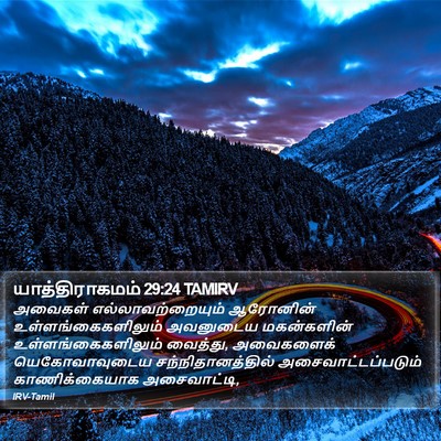 யாத்திராகமம் 29:24 TAMIRV Bible Verse Image