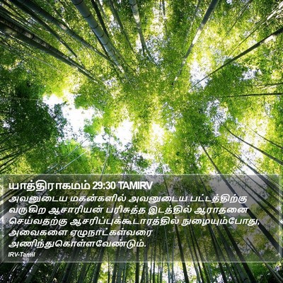 யாத்திராகமம் 29:30 TAMIRV Bible Verse Image