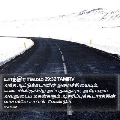 யாத்திராகமம் 29:32 TAMIRV Bible Verse Image