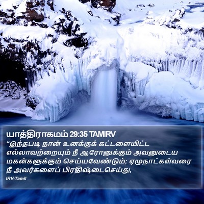 யாத்திராகமம் 29:35 TAMIRV Bible Verse Image
