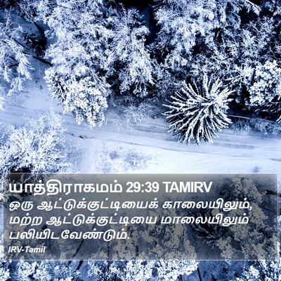 யாத்திராகமம் 29:39 TAMIRV Bible Verse Image