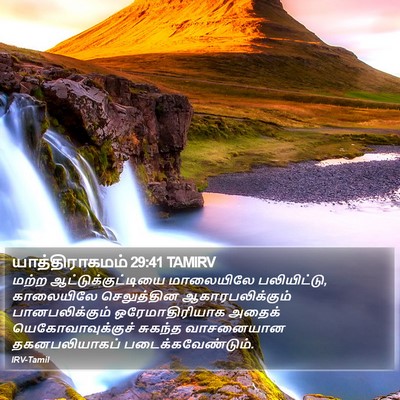 யாத்திராகமம் 29:41 TAMIRV Bible Verse Image