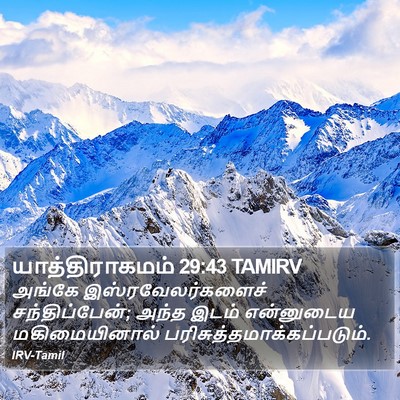 யாத்திராகமம் 29:43 TAMIRV Bible Verse Image