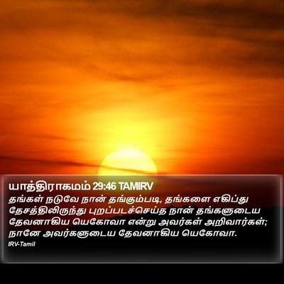 யாத்திராகமம் 29:46 TAMIRV Bible Verse Image